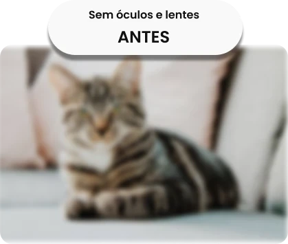 Visão sem correção óptica (Sem Óculos) - Desfoque e fadiga