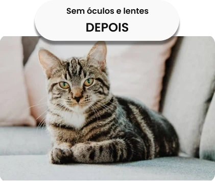 Visão com correção óptica precisa (Com Óculos) - Nitidez e conforto